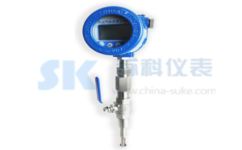 插入式热式气体质量流量计图示